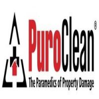 Puro Clean Logo