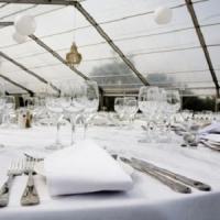 The Ashley Castle Logo