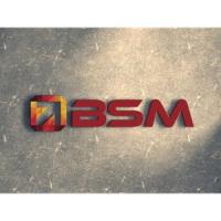 BSM - A Denver SEO Company Logo