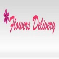 Same Day Flower Delivery Atlanta GA - Send Flowers Logo