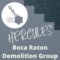 Hercules Miami Demolition Logo