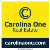 Carolina One Real Estate Logo