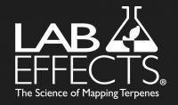 Lab Effects Logo