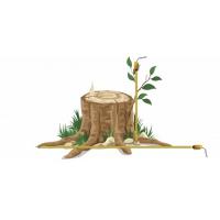 Orlando Stump Grinding Inc. Logo