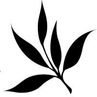 Antara Home Logo