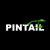 PINTAIL D&C Inc. Logo