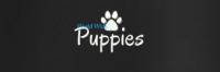 World Wide Puppies Logo