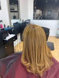 Salon New York Dominican Hair Stylists Inc Logo
