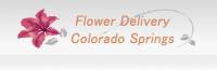 Same Day Flower Delivery Colorado Springs CO - Send Flowers Logo