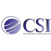 Control Systems Inc Logo