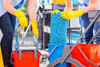 Ingrid Cleaning Services Logo
