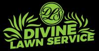 Divine Lawn Service LLC Logo