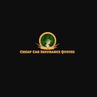NW Cheap Car Insurance Tampa FL Logo