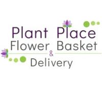 Plant Place Flower Basket & Delivery logo