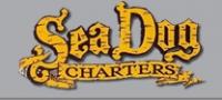 Sea Dog Fishing in Marathon Logo