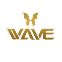 Wave Plastic Surgery & Aesthetic Laser Center Arcadia Logo