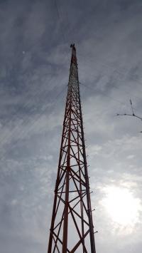 1st Call Tower Services LLC Logo