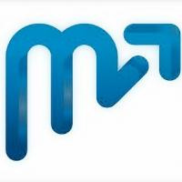 Metro Luxury Inc Logo
