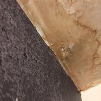 Water Damage Experts of River City Logo