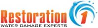 Restoration 1 of Omaha Logo