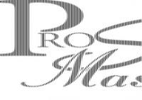 ProSports and Spa Massage logo