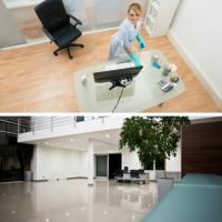 Showtime Janitorial Management in Inglewood Logo