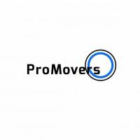 Pro Movers Miami  Logo