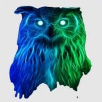Night Owls Razors logo