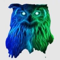 Night Owls Razors Logo
