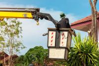 Trenton Tree Service Co Logo