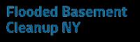 Flooded Basement Clean Up Logo