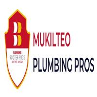 Mukilteo Plumbing, Drain and Rooter Pros Logo