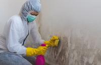 Mold Experts of Tucson Logo