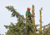 Benton Tree Services Logo