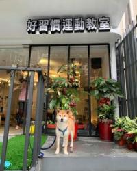 Pet Door Store Logo