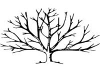 At The Top Tree Service Corp Logo
