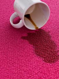 Dark to Light Cleaning Service Logo