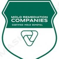 Murrieta Mold Remediation Pros Logo
