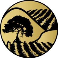 Central Coast Dental Implant Center Logo