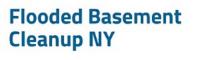 Flooded Basement Cleanup Companies Long Island Logo
