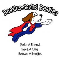 Beagle Rescue, Education, and Welfare (BREW), Inc Logo