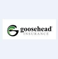 Goosehead Insurance - Kevin Michelson logo
