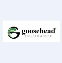 Goosehead Insurance - Kevin Michelson Logo