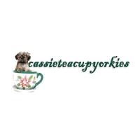Cassie Teacup Yorkies logo