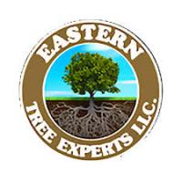 Eastern Tree Experts LLC logo