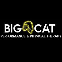 Big Cat Performance & Physical Therapy Logo