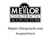 Meylor Chiropractic and Acupuncture Logo