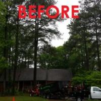 Whispering Tree Service Logo