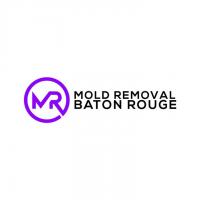 Mold Remediation Baton Rouge logo