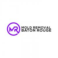 Mold Remediation Baton Rouge Logo